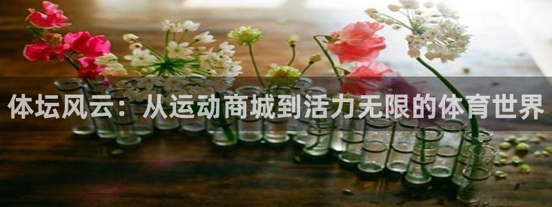 尊龙官网下载招商电话是多少啊