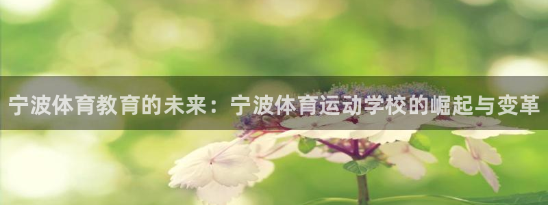 尊龙官方正版app娱乐首页网站大全