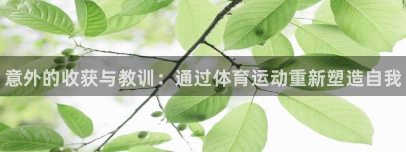 尊龙官网下载平台是正规平台吗安全吗