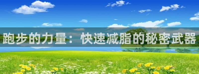 尊龙官方正版app新能源