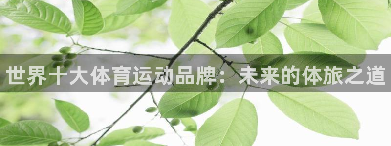 尊龙官方正版app官网