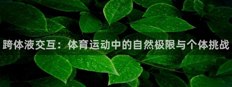 尊龙官网下载