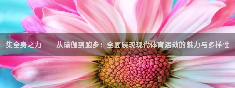 尊龙官方正版app代理