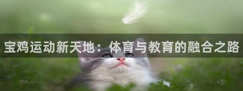 尊龙官方正版app科技：宝鸡运动新天地：体育与教育的融合之路