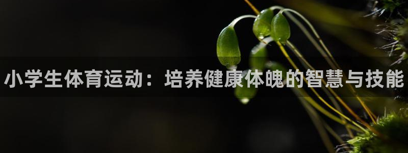 尊龙官方正版app娱乐：小学生体育运动：培养健康体魄的智慧与