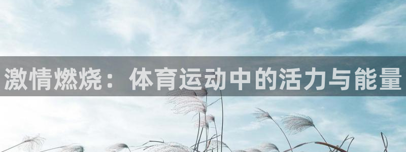 尊龙官方正版app娱乐下载