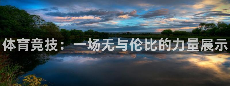 尊龙官方正版app集团官网网址：体育竞技：一场无与伦比的力量